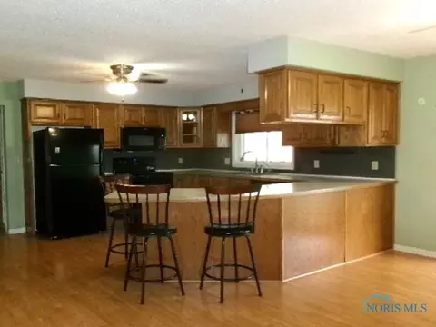 65 Rush St, Leipsic, OH 45856 photo 3