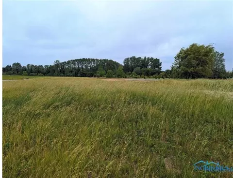 0 Lot 30 Savannah Lake Blvd, Whitehouse, OH 43571