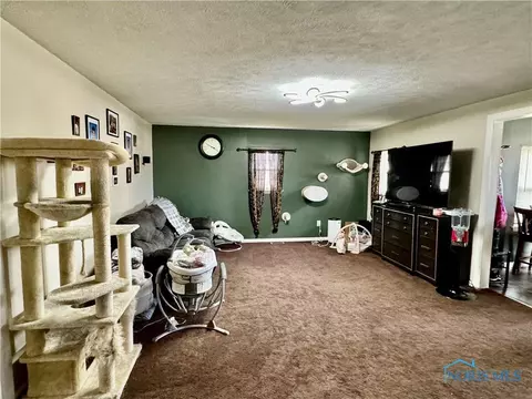 626 Ohio St, Leipsic, OH 45856 photo 6