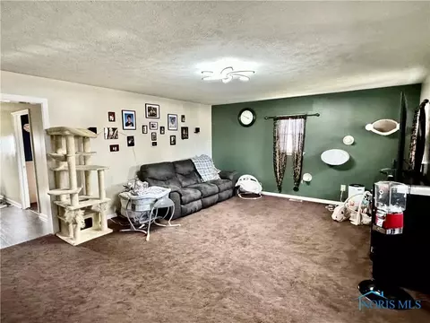 626 Ohio St, Leipsic, OH 45856 photo 7