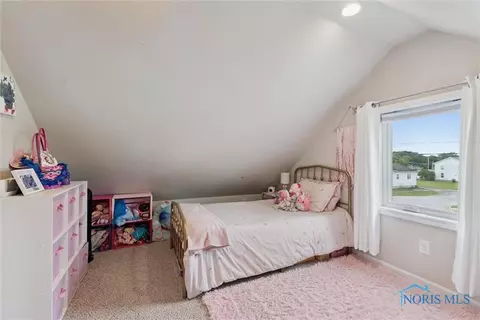 206 N Adrian St, Lyons, OH 43533 photo 24