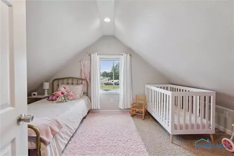 206 N Adrian St, Lyons, OH 43533 photo 22