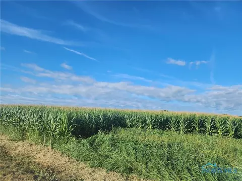 00 County Road 14, Napoleon, OH 43545