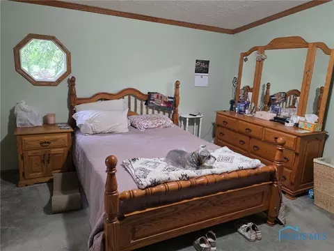 10965 County Rd S, Lyons, OH 43533 photo 16