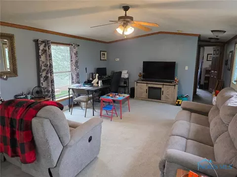 10965 County Rd S, Lyons, OH 43533 photo 9