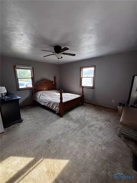 313 S Adrian St, Lyons, OH 43533 photo 10