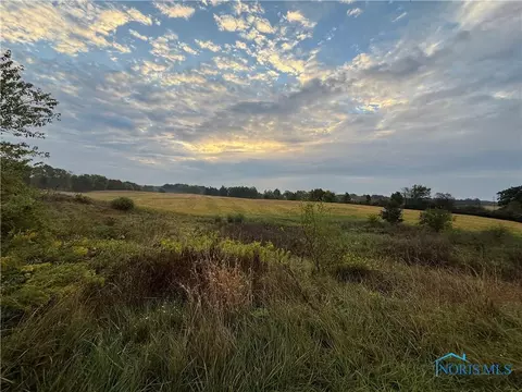 Other - 16702 State Route 49, Edon, OH 43518 photo 3 of 8
