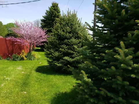 9470 Berlin Rd, Huron, OH 44839 photo 26