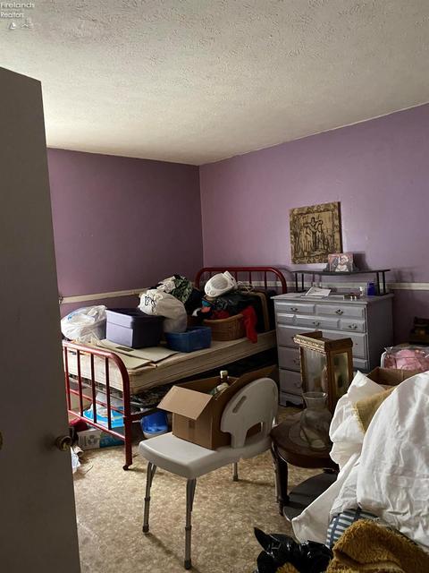 407 S Myrtle Ave, Willard, OH 44890 photo 13