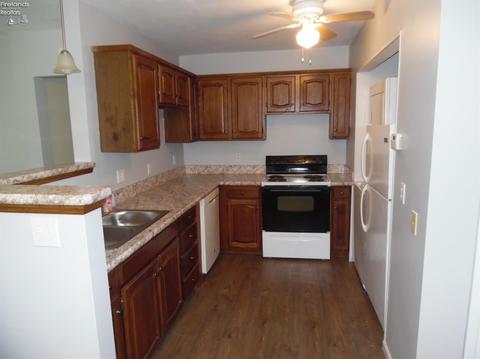 549 Lisa Ln, Willard, OH 44890 photo 7