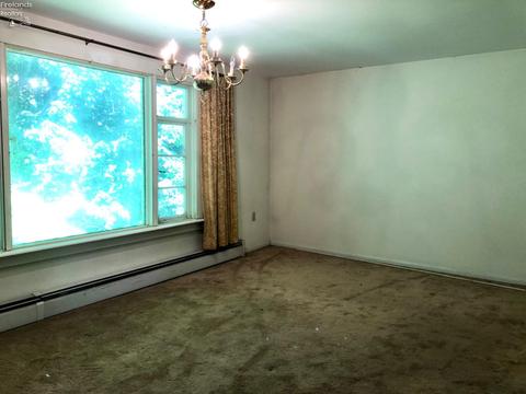 41 E Front St, Milan, OH 44846 photo 21