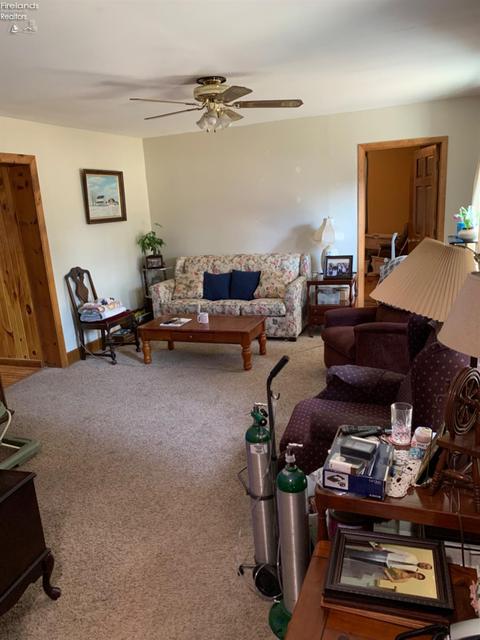 19 Hyde St, Wakeman, OH 44889 photo 12