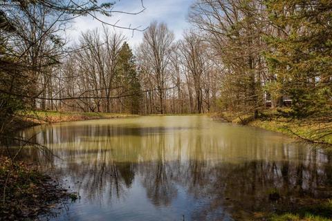 1609 Jarvis Rd, Wakeman, OH 44889 photo 6