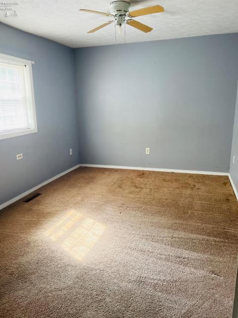 40 Monroe St, Monroeville, OH 44847 photo 4