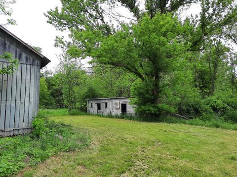 3995 Walnut Rd, Willard, OH 44890 photo 13