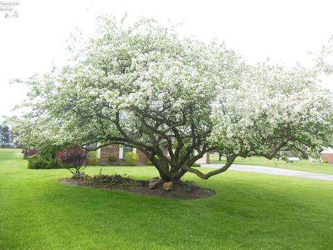 3210 Fox Rd, Sandusky, OH 44870 photo 4