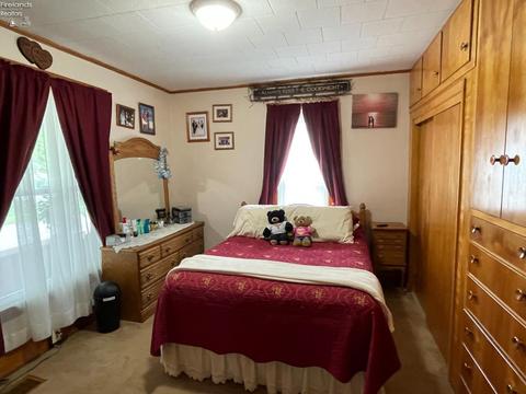604 Clark St, Willard, OH 44890 photo 15
