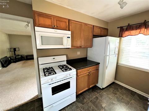 532 Princeton Ave, Elyria, OH 44035 photo 4