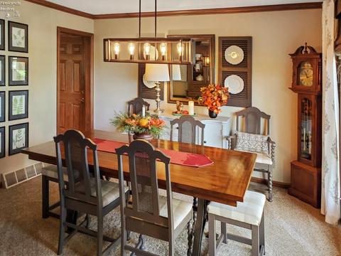 4335 Limerick Rd, Clyde, OH 43410 photo 44