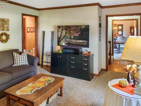 4335 Limerick Rd, Clyde, OH 43410 photo 48