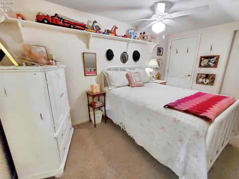 4335 Limerick Rd, Clyde, OH 43410 photo 60