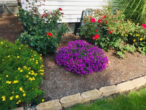 1306 E Strub Rd, Sandusky, OH 44870 photo 17