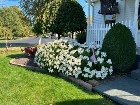 1306 E Strub Rd, Sandusky, OH 44870 photo 8