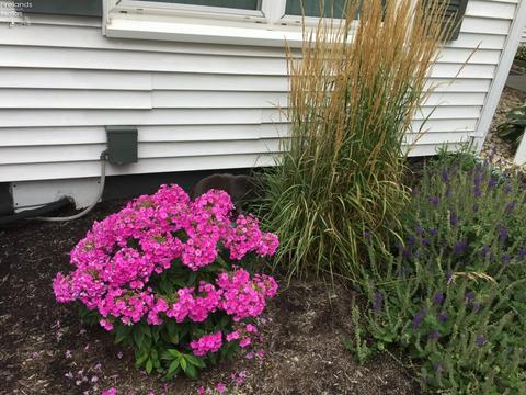 1306 E Strub Rd, Sandusky, OH 44870 photo 14