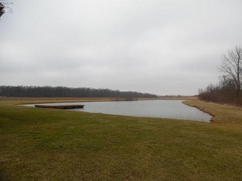 3262 Egypt Rd, Willard, OH 44890 photo 12
