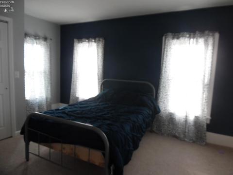 3262 Egypt Rd, Willard, OH 44890 photo 19