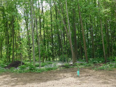 48 Whitefield Blvd, Norwalk, OH 44857