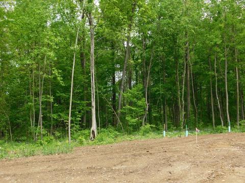 47 Whitefield Blvd, Norwalk, OH 44857