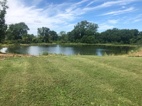 5730 Egypt Rd, Willard, OH 44890 photo 10