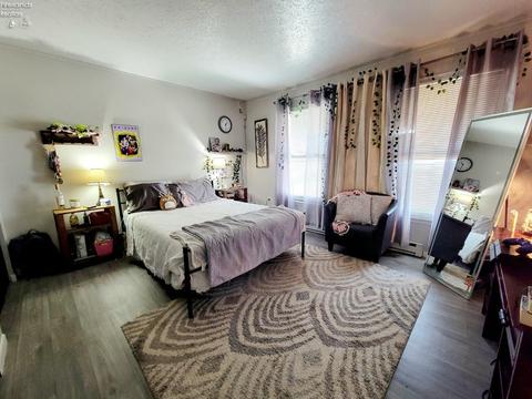 417 Brinker St, Bellevue, OH 44811 photo 18
