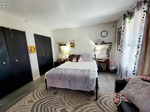 417 Brinker St, Bellevue, OH 44811 photo 19