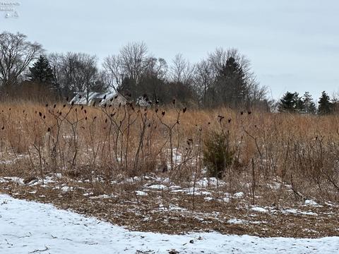 0 N Cr 24 Woodville Twp Rd, Gibsonburg, OH 43431