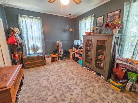 116 W Cherry St, Clyde, OH 43410 photo 30
