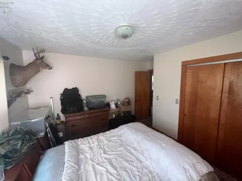 558 W Laurel St, Willard, OH 44890 photo 19