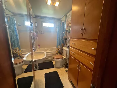 558 W Laurel St, Willard, OH 44890 photo 12