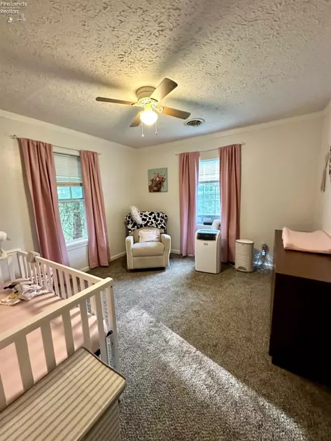 5516 St Rt 101, Clyde, OH 43410 photo 14