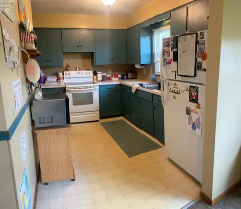 3144 Washburn Rd, Willard, OH 44890 photo 14