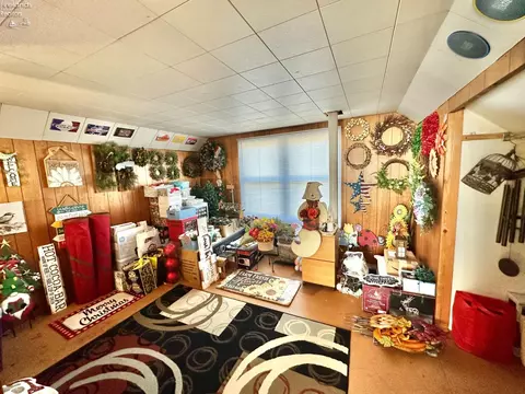 403 Moore Ave, Bellevue, OH 44811 photo 20