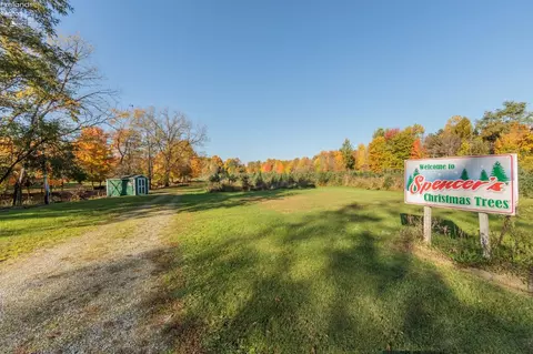 2611 Chenango Rd, Wakeman, OH 44889 photo 70