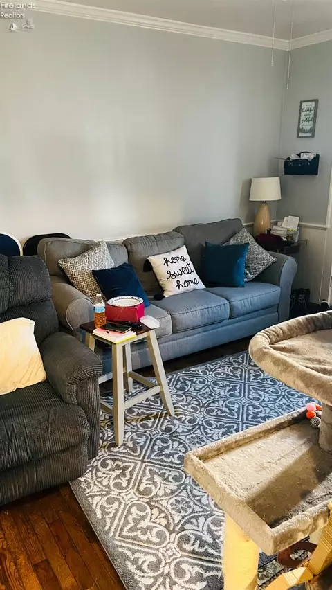 Living - 520 E Monroe St, Sandusky, OH 44870 photo 3 of 3