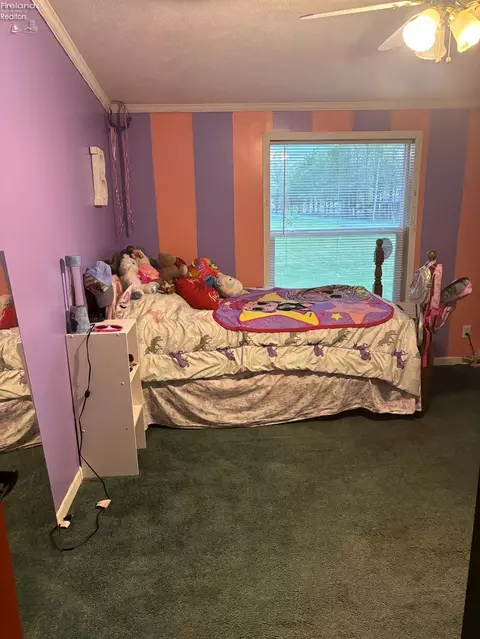2359 Collins Rd, Collins, OH 44826 photo 18