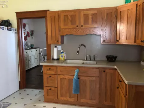 411 Maplewood St, Willard, OH 44890 photo 18