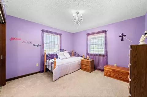 1794 Graham Rd, Monroeville, OH 44847 photo 30