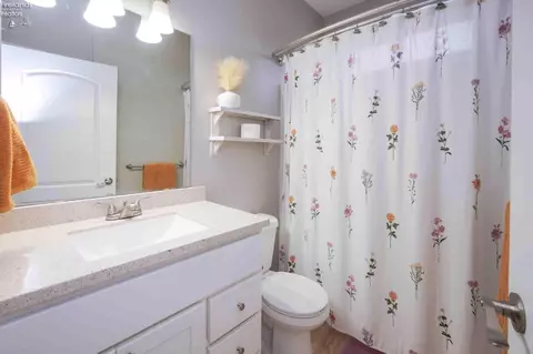 Bath - 321 Nathan Dr, Clyde, OH 43410 photo 5 of 5