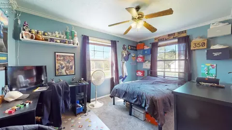 662 Timothy Dr, Willard, OH 44890 photo 47