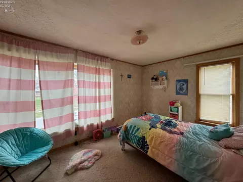 508 Woodbine St, Willard, OH 44890 photo 16